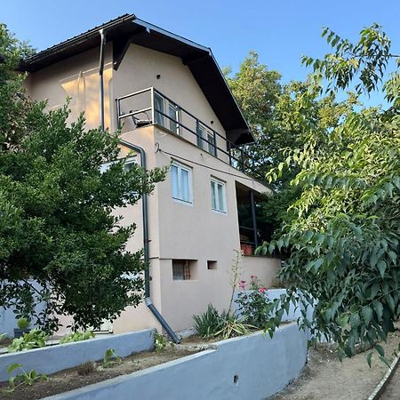 Casa Ema Otel Orşova Dış mekan fotoğraf