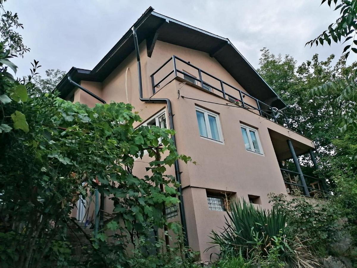 Casa Ema Otel Orşova Dış mekan fotoğraf